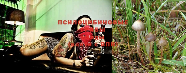 mix Алексеевка