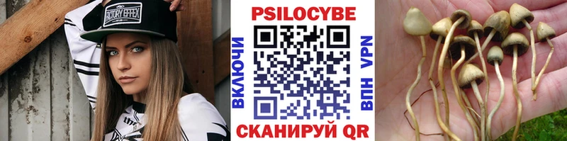 Псилоцибиновые грибы прущие грибы  цены наркотик  Бокситогорск 