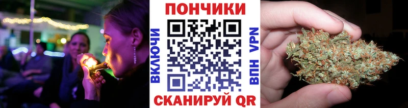 Бошки Шишки THC 21%  Бокситогорск 